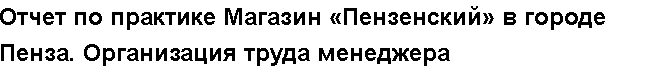 Учебная работа №   12280.  "Отчет по практике Магазин «Пензенский» в городе Пенза. Организация труда менеджера