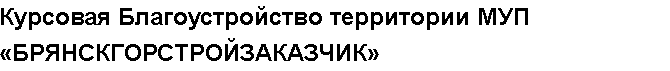 Учебная работа №   12024.  "Курсовая Благоустройство территории  МУП «БРЯНСКГОРСТРОЙЗАКАЗЧИК»